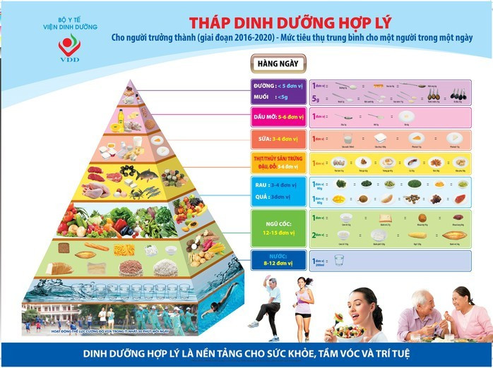 Tháp Dinh dưỡng hợp lý cho người trưởng thành (giai đoạn 2016 - 2020) Tháp Dinh dưỡng hợp lý cho người trưởng thành (giai đoạn 2016 - 2020)