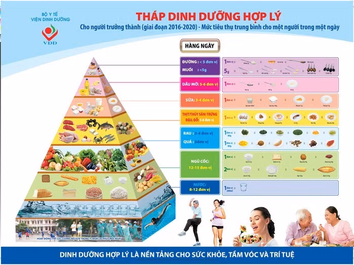 Tháp Dinh dưỡng hợp lý cho người trưởng thành (giai đoạn 2016 - 2020)
