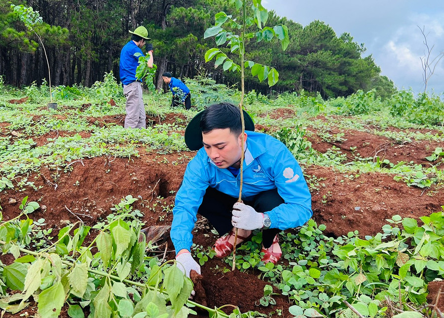 Đoàn viên, thanh niên ở TP. Pleiku trồng cây xanh nhằm lan tỏa thông điệp bảo vệ môi trường sống. Ảnh: Minh Nhật 22.jpg