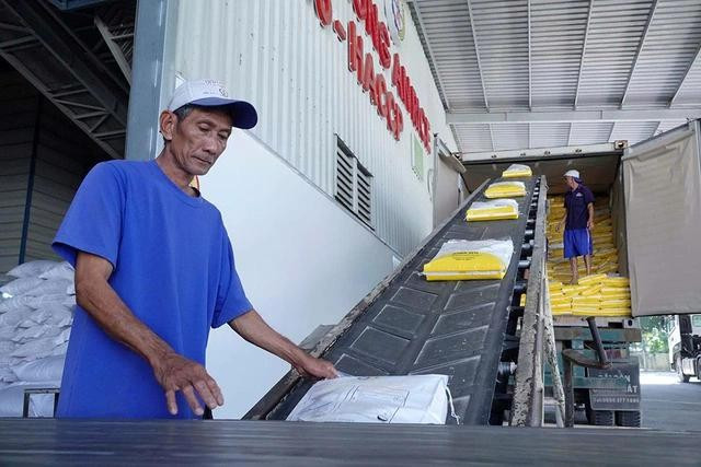 “Gạo Việt Xanh phát thải thấp” chuẩn bị lên đường sang Nhật Bản (ảnh minh họa). ẢNH: ĐÀO NGỌC THẠCH “Gạo Việt Xanh phát thải thấp” chuẩn bị lên đường sang Nhật Bản (ảnh minh họa). ẢNH: ĐÀO NGỌC THẠCH