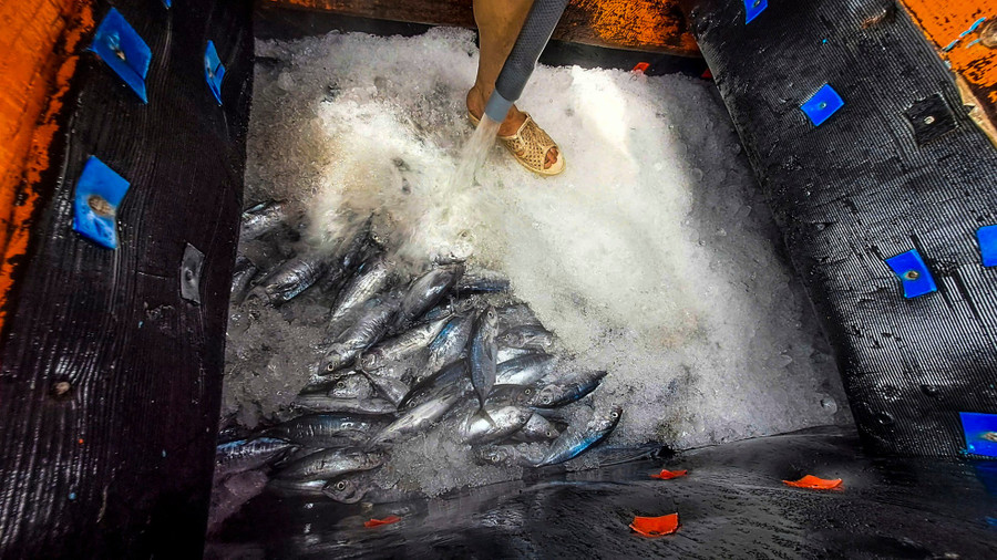Với ngư dân, biển là nhà, luôn đoàn kết sát cánh bên nhau như những cột mốc chủ quyền, vừa hi vọng về những chuyến bội thu tôm cá. Trong ảnh: Cá được ngư dân bảo quản kỹ lưỡng tại các hầm trên tàu. Ảnh: Trương Định Với ngư dân, biển là nhà, luôn đoàn kết sát cánh bên nhau như những cột mốc chủ quyền, vừa hi vọng về những chuyến bội thu tôm cá. Trong ảnh: Cá được ngư dân bảo quản kỹ lưỡng tại các hầm trên tàu. Ảnh: Trương Định