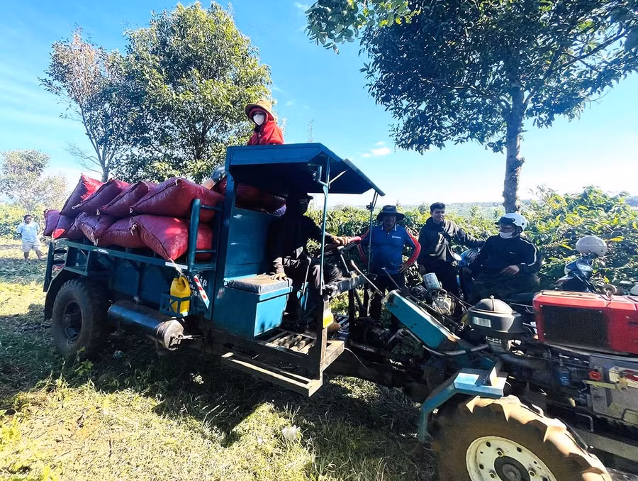 Cuối ngày, từng xe công nông chở theo thành quả sau một ngày lao động trở về thôn. Ảnh: P.D