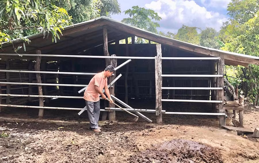 Ông Kpă Tuk (ở thôn Kte, xã Ia Hrú) thường xuyên vệ sinh chuồng trại, giữ nền chuồng khô ráo, che kín gió khi trời lạnh để đảm bảo sức khỏe cho đàn bò. Ảnh: Lê Nam