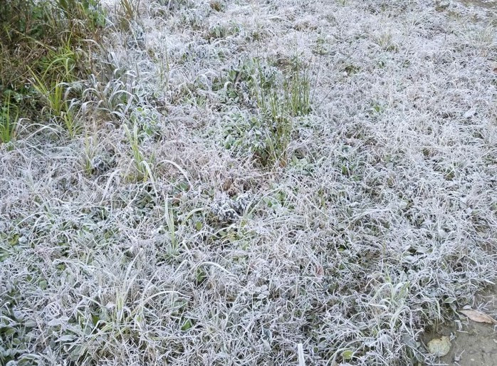 Nhiệt độ ở nhiều địa phương dưới 10 độ C, cần đề phòng băng giá và sương muối.