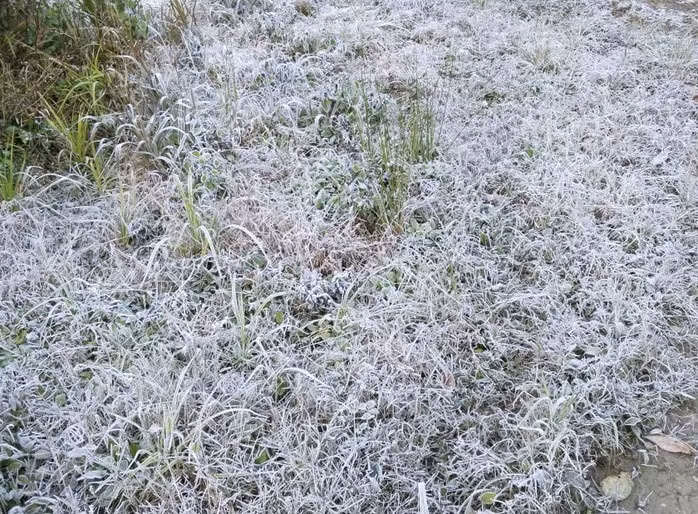 Nhiệt độ ở nhiều địa phương dưới 10 độ C, cần đề phòng băng giá và sương muối.