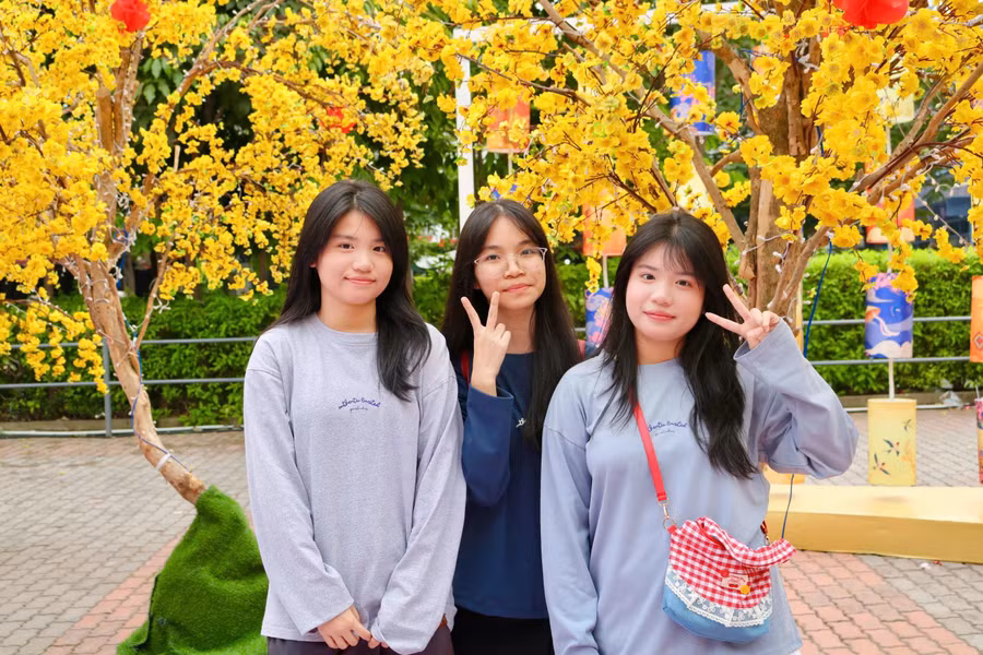 Những bông mai vàng rực rỡ, một trong những dấu hiệu của mùa xuân. ẢNH: THẢO PHƯƠNG