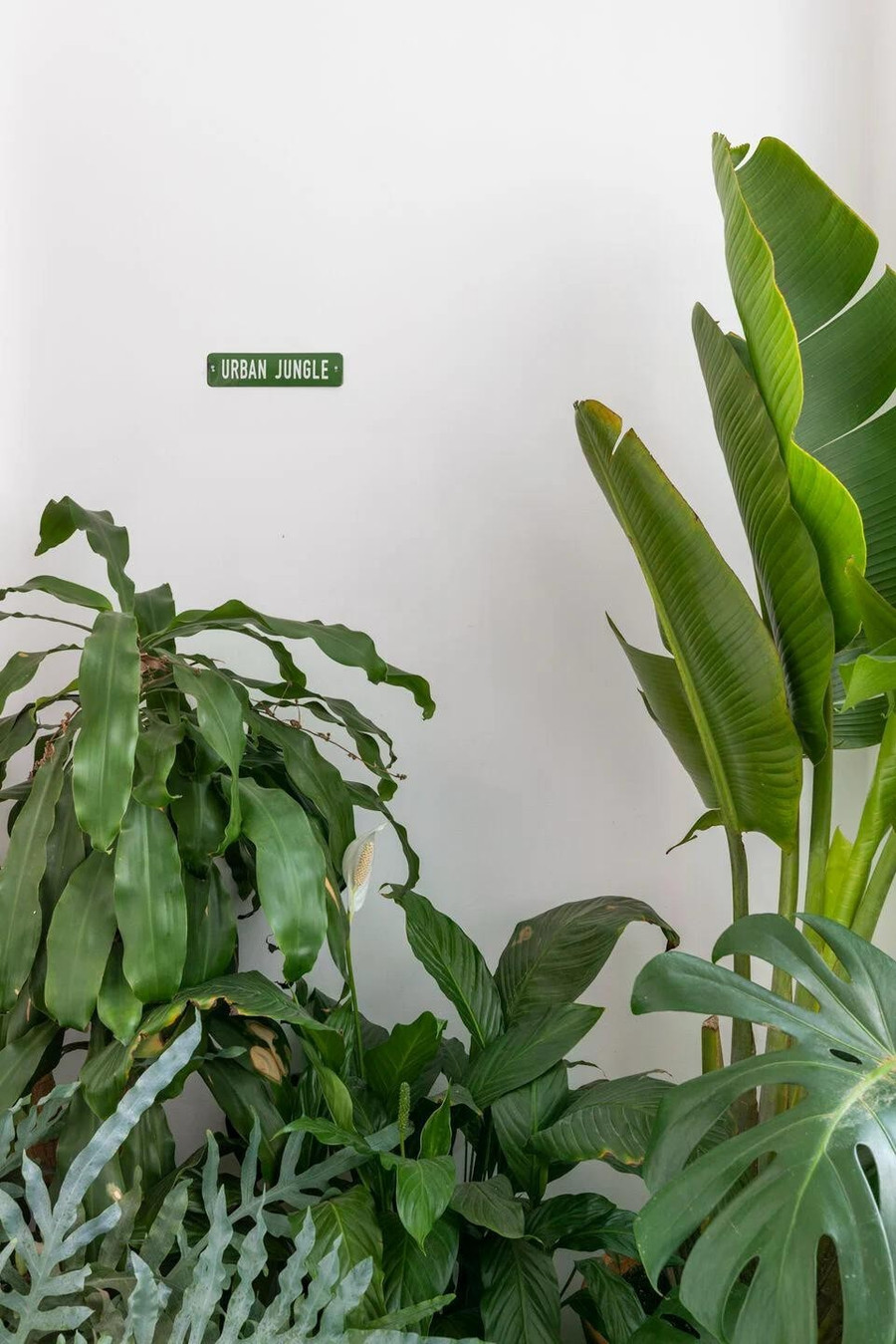 Một số chi tiết cũ được giữ lại và phục hồi như sàn gỗ parquet từ thập niên 1950 hay hệ gạch hoa ở mặt tiền.