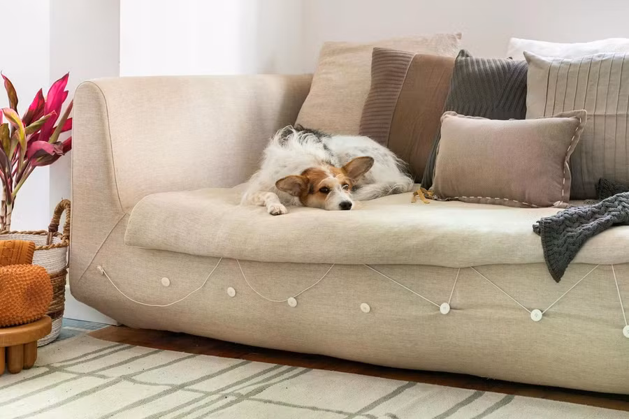 Giải pháp cải tạo quan trọng nhất là phá bỏ hầu hết các bức tường ngăn, tái tổ chức không gian sinh hoạt chung theo bố cục mở.