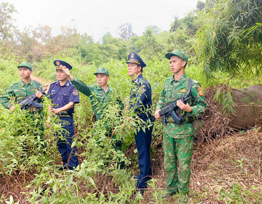 Đồn Biên phòng Cửa khẩu quốc tế Lệ Thanh phối hợp với lực lượng bảo vệ biên giới Campuchia tuần tra song phương. Ảnh: ĐVCC