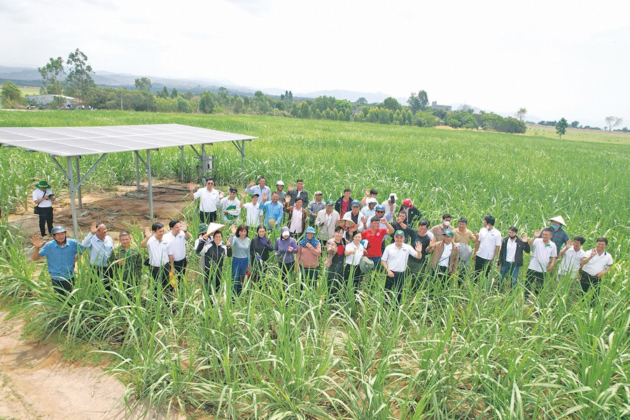 ក្រុមហ៊ុន AgriS Gia Lai Agricultural Joint Stock Company បានរៀបចំវគ្គបណ្តុះបណ្តាលស្តីពីបច្ចេកទេសថែទាំអំពៅនៅឃុំ Ia Mrôn ស្រុក Ia Pa ។ រូបថត៖ N.L 2bg-nl1.jpg