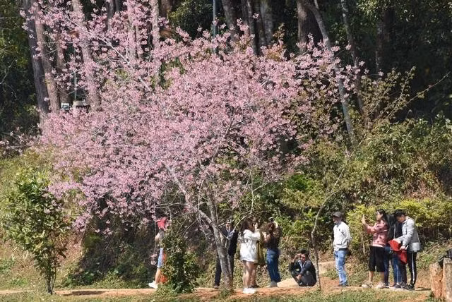 Cao tốc Quảng Ngãi - Kon Tum hoàn thành sẽ giúp du lịch ở Măng Đen, H.Kon Plông (Kon Tum) phát triển. ẢNH: P.A