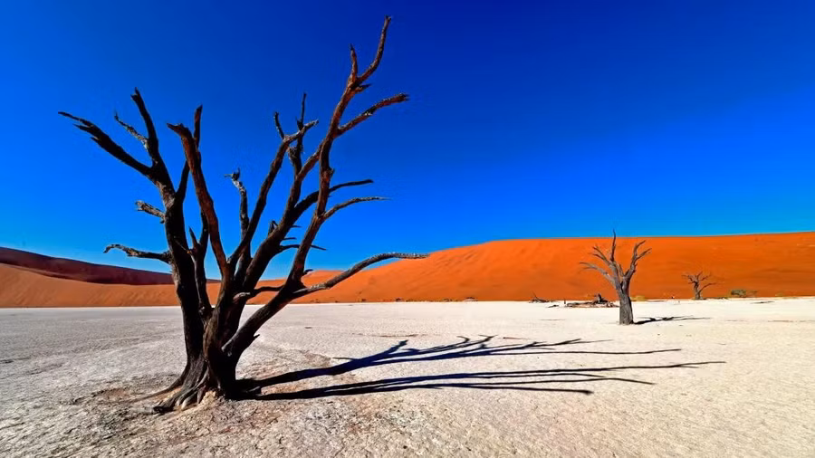 Dead Vlei - một trong các địa điểm hấp dẫn nhất ở Namibia, được mệnh danh là đầm lầy chết vì nằm giữa những cồn cát cao nhất thế giới. CNN cho biết, biến đổi khí hậu đã gây nên thời tiết khô hanh khiến các loài cây ở Dead Vlei không thể phân hủy, tạo nên một cảnh quan thực sự kỳ lạ. Ảnh: AP.
