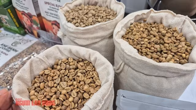 Thị trường cà phê rất khó đoán