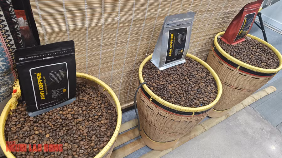 Giá cà phê liệu có lập đỉnh vào tháng 4 như năm ngoái