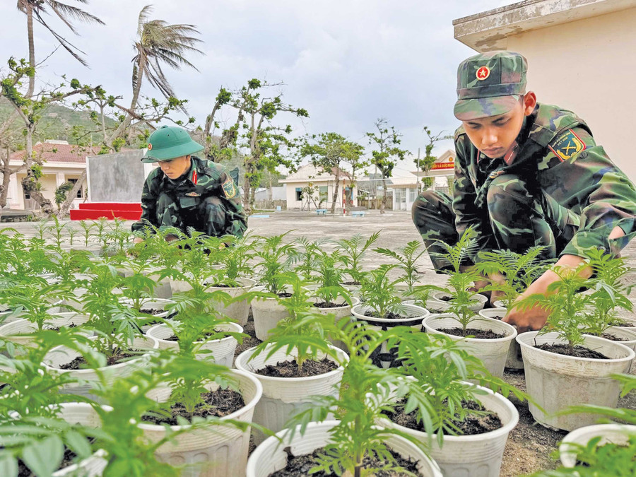 Chiến sĩ ở Đại đội Hỗn hợp đảo Cù Lao Xanh trồng hoa để đón Tết. Ảnh: Ngô Phong