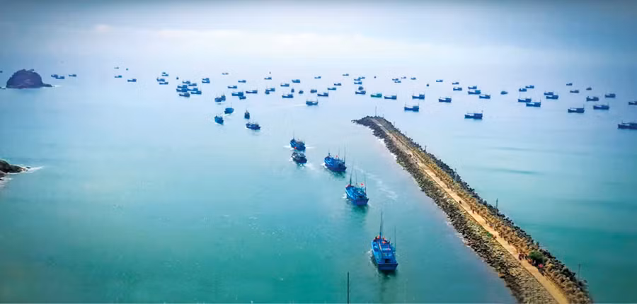 Gia Lai đặt mục tiêu đến năm 2030 xây dựng Cảng cá Tam Quan thành cảng thông minh, hiện đại, trở thành trung tâm logistics thủy sản của tỉnh. Ảnh: N.N