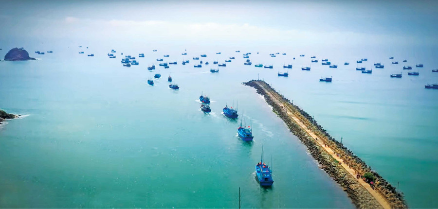 Gia Lai đặt mục tiêu đến năm 2030 xây dựng Cảng cá Tam Quan thành cảng thông minh, hiện đại, trở thành trung tâm logistics thủy sản của tỉnh. Ảnh: N.N