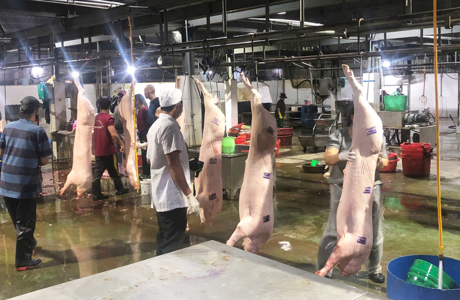 Hoạt động giết mổ bên trong Cơ sở giết mổ động vật tập trung Quy Nhơn Đông của Công ty TNHH Sản xuất và chế biến thực phẩm Quy Nhơn.