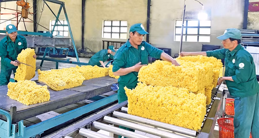 Dây chuyền chế biến mủ cao su của Công ty TNHH một thành viên Cao su Chư Păh (xã Chư Păh). Ảnh: Vũ Thảo