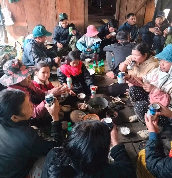 Bà con vừa đón Tết ngay tại rừng để chăm sóc sâm, bảo vệ vườn sâm.