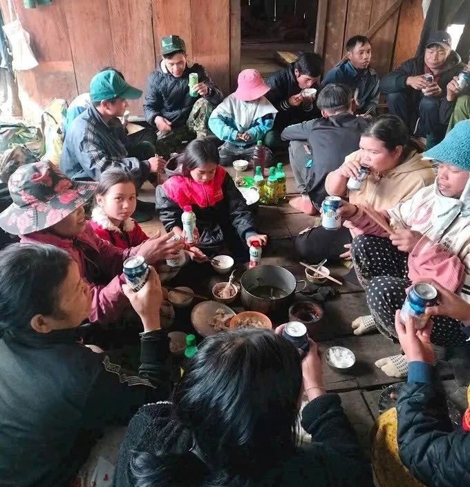 Bà con vừa đón Tết ngay tại rừng để chăm sóc sâm, bảo vệ vườn sâm.