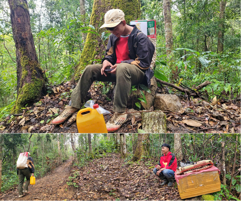 Người đồng bào Xơ Đăng lên đỉnh Ngọc Linh “ăn Tết với sâm”.
