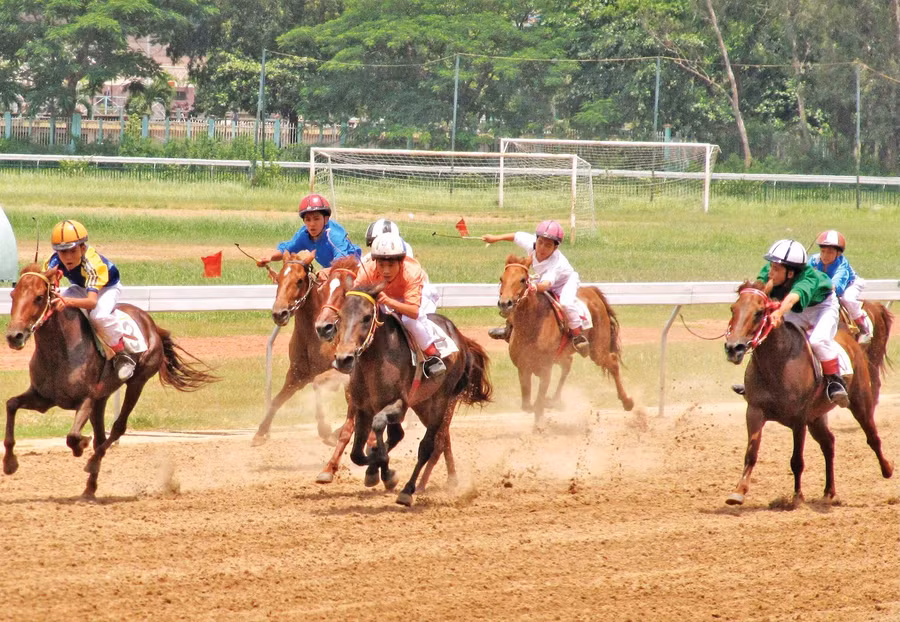 Đua ngựa tại trường đua Phú Thọ thời hoàng kim