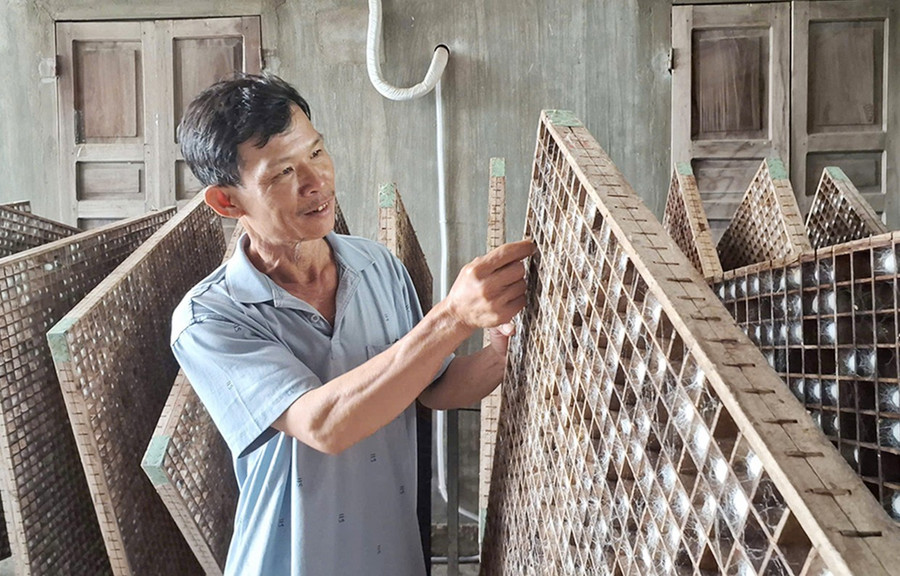 Gia đình anh Hà Kim Thành, ở thôn Sơn Bình, xã Chư A Thai khá lên nhờ theo nghề trồng dâu nuôi tằm. Ảnh H.S 3lay-bg.jpg