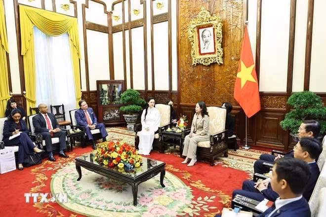 Phó Chủ tịch nước Võ Thị Ánh Xuân tiếp cô Amanda Nguyễn. (Ảnh: Minh Đức/TTXVN)
