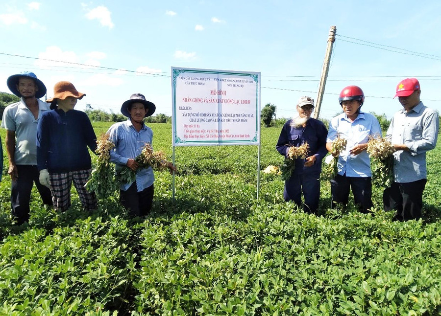 Ngành Nông nghiệp và Môi trường tăng cường chuyển giao khoa học kỹ thuật với mong muốn người dân, HTX, doanh nghiệp tham gia sâu vào chuỗi giá trị. Ảnh: N.N 2ngocnga.jpg