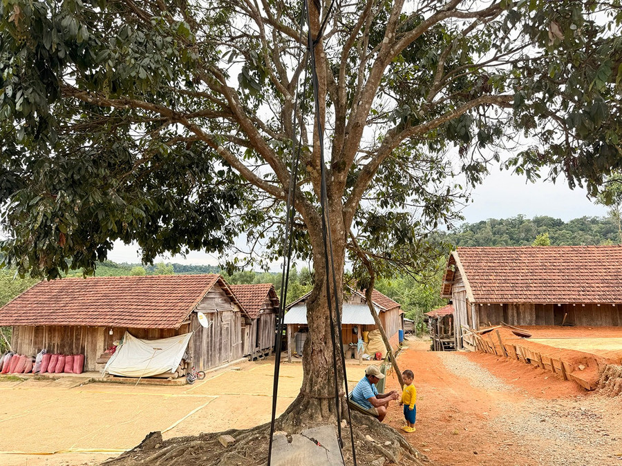 Một góc làng Đăk Asêl. Ảnh: Thanh Thảo lay-1bg.jpg