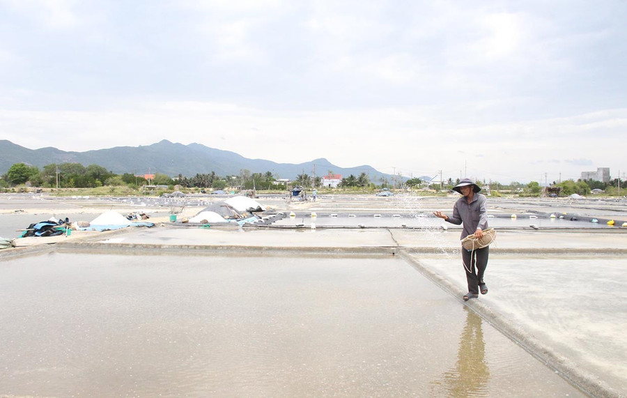 Không khí sản xuất trên ruộng muối ở thôn Đức Phổ 2, xã Đề Ghi khá trầm lắng. Ảnh: Trọng Lợi them3.jpg