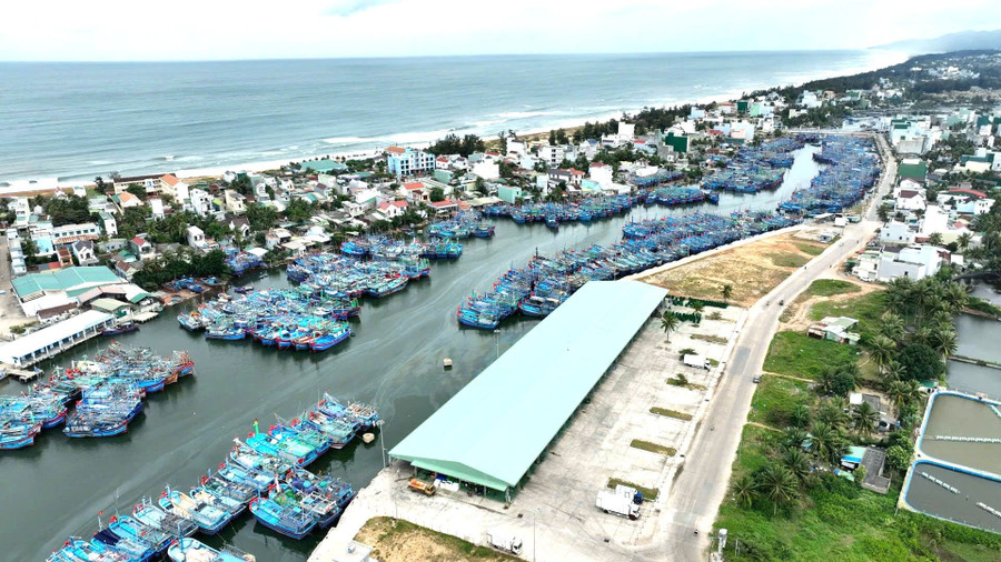 Tàu cá neo đậu tại Cảng cá Tam Quan (phường Hoài Nhơn Bắc). Ảnh: H.X 3.jpg