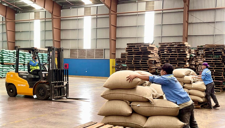 Ngoài xuất khẩu nhân xanh, Vĩnh Hiệp đang hướng đến mở rộng thị trường xuất khẩu cà phê chế biến sang các thị trường châu Á và châu Âu. Ảnh: Vũ Thảo 1tt.jpg