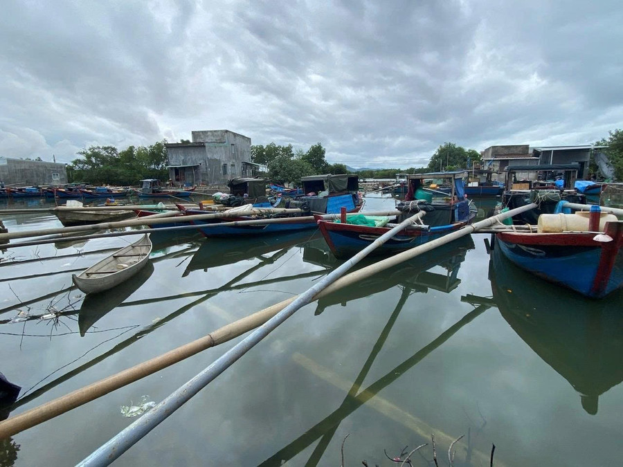 Kích điện đánh bắt thủy sản làm đa số loài cá trên đầm Thị Nại mất khả năng sinh sản. Ảnh: Ngọc Nga ngoc-nga-them.jpg