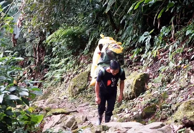 Hồ Văn Miễn với chiếc gùi hàng lớn đang chinh phục núi Ngọc Linh