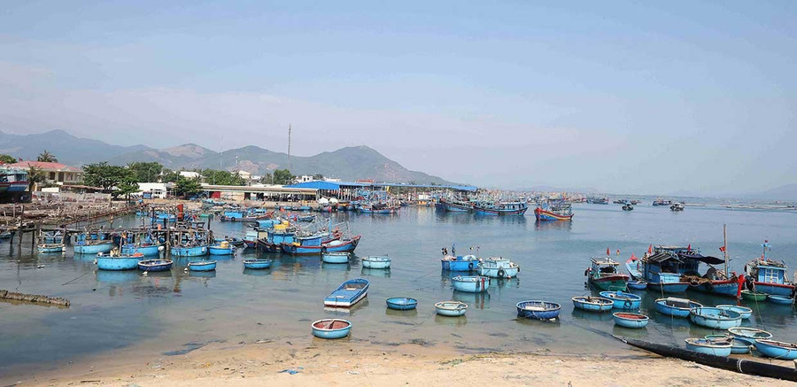 Các địa phương quản lý chặt tàu thuyền và triển khai phương án ứng phó chi tiết, bảo đảm an toàn tính mạng, tài sản cho người dân. Ảnh: Ngọc Nga them9-2.jpg