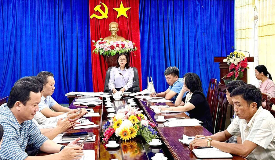 Phó Giám đốc Sở Nông nghiệp và Môi trường Hà Thị Thanh Hương làm việc với các xã thuộc phân vùng thu gom Chư Sê. Ảnh: V.L Phó Giám đốc Sở Nông nghiệp và Môi trường làm việc với các xã thuộc phân vùng thu gom Chư Sê. Ảnh: V.L