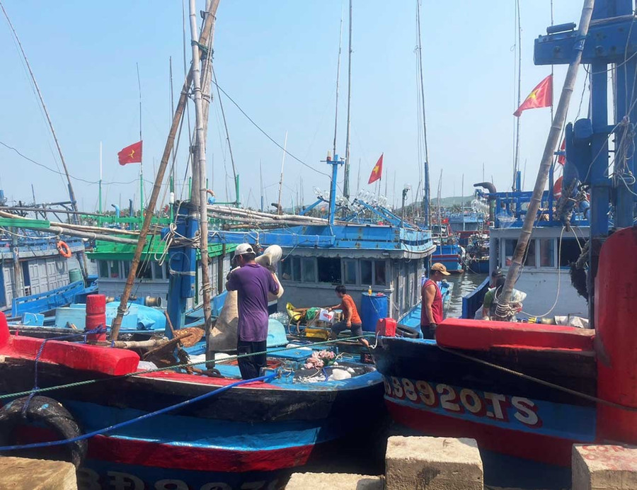Các địa phương ven biển đã bố trí nơi neo đậu an toàn cho tàu thuyền khi bão đến. Ảnh: N.N 9-1.jpg