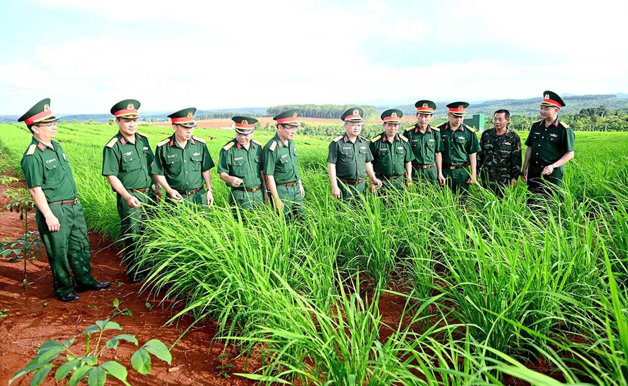 Lãnh đạo Binh đoàn 15 kiểm tra cánh đồng lúa của người dân tại làng Tung Breng, xã Ia Krái. Ảnh: V.H Lãnh đạo Binh đoàn 15 kiểm tra cánh đồng lúa của người dân tại làng Tung Breng, xã Ia Krái. Ảnh: V.H