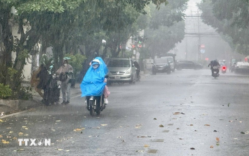 Ảnh minh họa. (Ảnh: TTXVN phát)