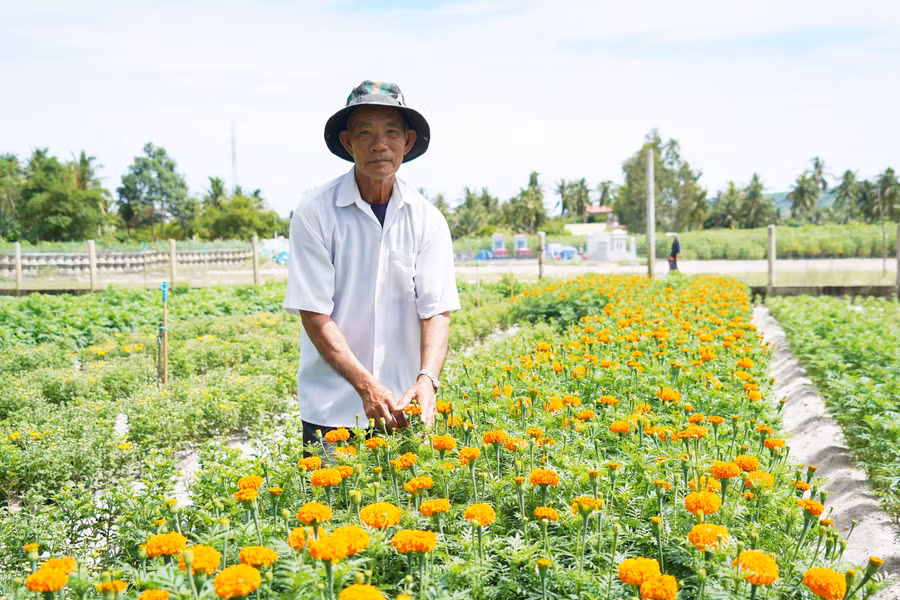 Ông Nguyễn Văn Quả bên vườn hoa cúc, vạn thọ của mình. Ảnh: N.H