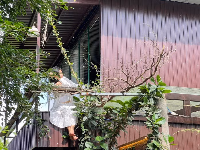 Quán cà phê giữa đồng lúa ở Cần Thơ