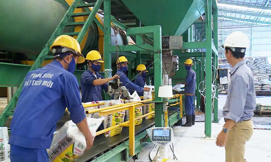 Produktionsaktiviteter vid Long My Fertilizer Factory (Binh Dinh Agricultural Technical Materials Joint Stock Company). Foto: T.Loi Hoạt động sản xuất tại Nhà máy phân bón Long Mỹ (thuộc Công ty CP Vật tư Kỹ thuật Nông nghiệp Bình Định). Ảnh: T.Lợi