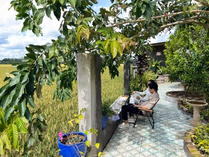 Cảnh đẹp như phim ở vùng quê Cần Thơ