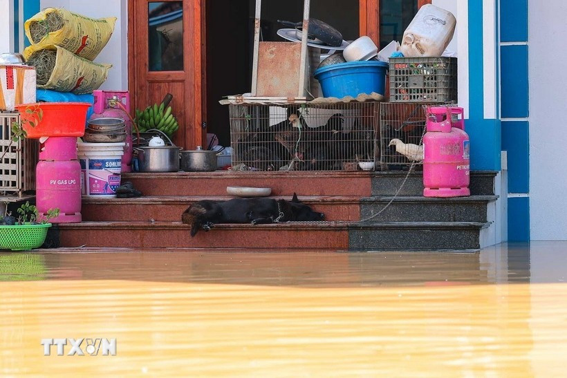 Nước sông Cầu dâng cao bất thường khiến nhiều hộ gia đình thôn Ngô Đạo, xã Đa Phúc (Hà Nội) bị ngập sâu. (Ảnh: Hoàng Hiếu/TTXVN) Nước sông Cầu dâng cao bất thường khiến nhiều hộ gia đình thôn Ngô Đạo, xã Đa Phúc (Hà Nội) bị ngập sâu. (Ảnh: Hoàng Hiếu/TTXVN)