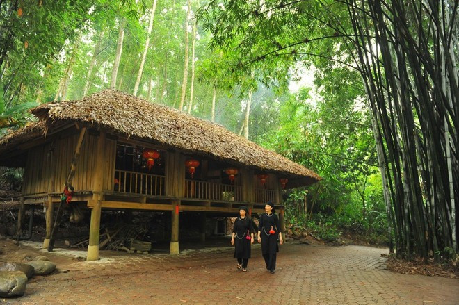 Những ngôi nhà sàn của người Tày, Nùng giữa không gian mướt xanh của làng. (Ảnh: TTXVN) Những ngôi nhà sàn của người Tày, Nùng giữa không gian mướt xanh của làng. (Ảnh: TTXVN)