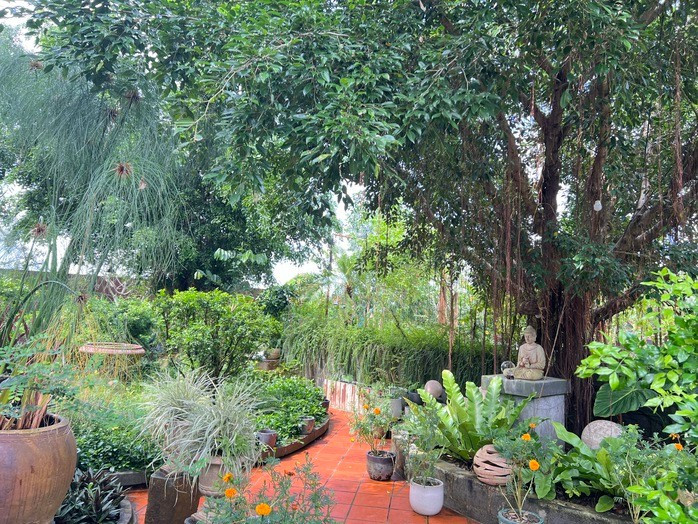 Quán cà phê giữa đồng lúa ở Cần Thơ