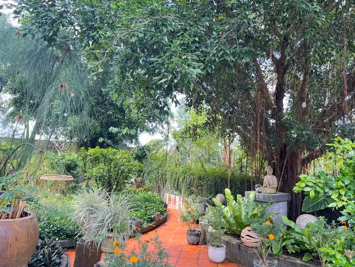 Quán cà phê giữa đồng lúa ở Cần Thơ