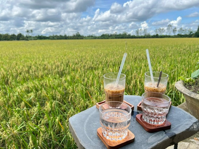Và tháng sau lúa bắt đầu chín Và tháng sau lúa bắt đầu chín